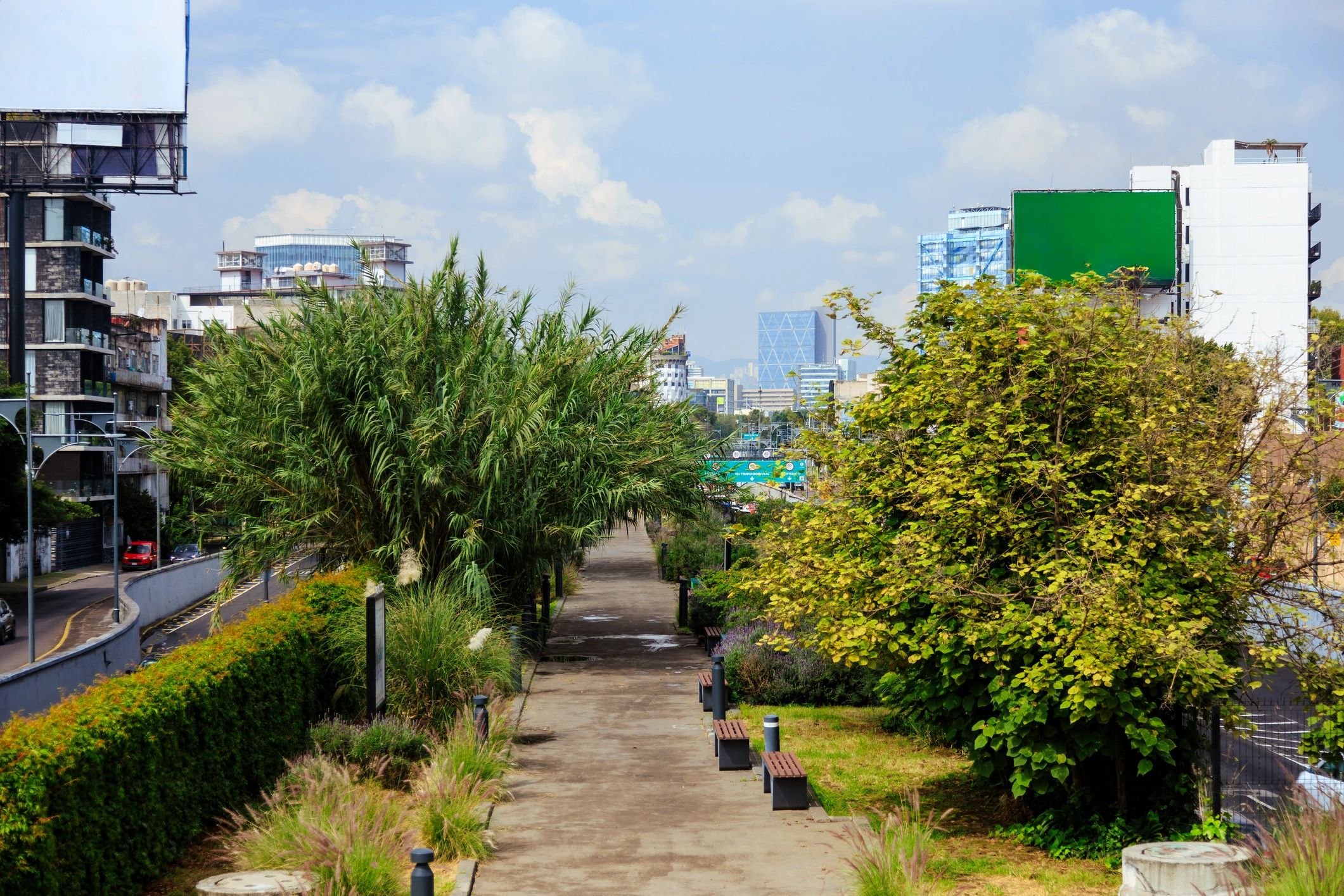 Linear landscaped public environment suggesting resilience and outdoor recovery space